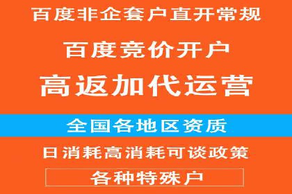 信息流广告公司案例分析：精准投放策略解析